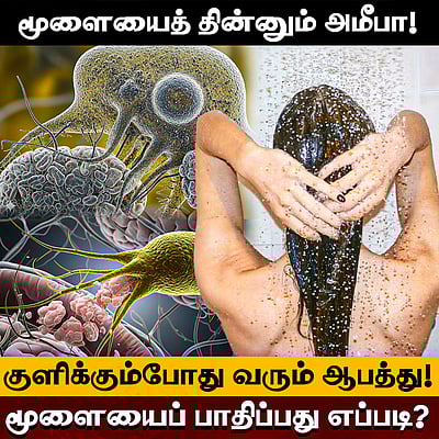 மனித மூளையை பாதிக்கும் புதிய தொற்று! தடுப்பது எப்படி? | Brain eating amoeba
