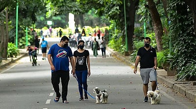 நாய் வளர்ப்போர் கவனத்துக்கு.! மைக்ரோ சிப் பொருத்தாவிட்டால் ரூ.3000 அபராதம்!