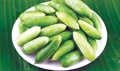 கோவைக்காயின் வியக்க வைக்கும் பயன்கள் என்ன தெரியுமா? 