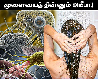 கேரளத்தில் அமீபா தொற்றால் பாதிக்கப்பட்ட இரு குழந்தைகள் குணமடைந்து வீடு திரும்பினர்! 