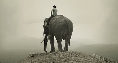 கும்கி - 2 படத்தின் கதாநாயகன் யார்?