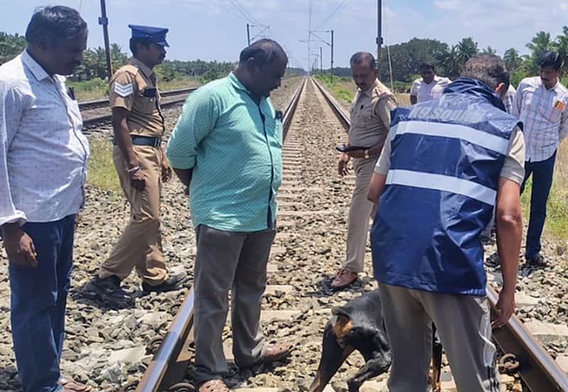 Child's body found on Coimbatore railway tracks