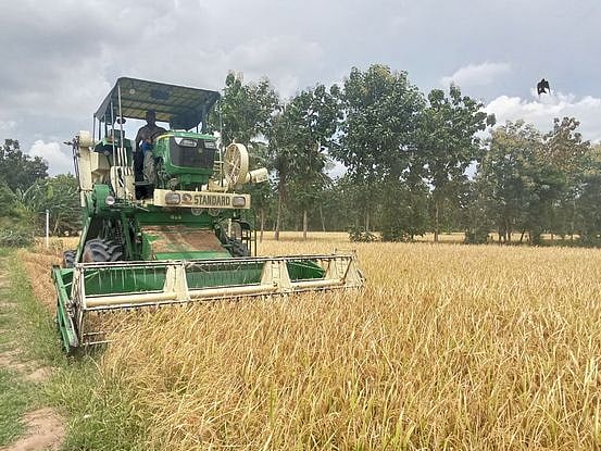 மீண்டும் விதைகள் சட்டம்!