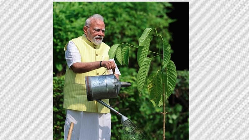 PM Modi Plants Kadamb Sapling Gifted By King Charles At His Residence