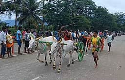 சிவகங்கை அருகே மாட்டு வண்டிப் பந்தயம்