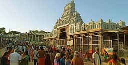 திருச்செந்தூா் கோயிலில் கட்டணங்கள் உயா்த்தப்படவில்லை: அமைச்சா் சீ. ரமேஷ்