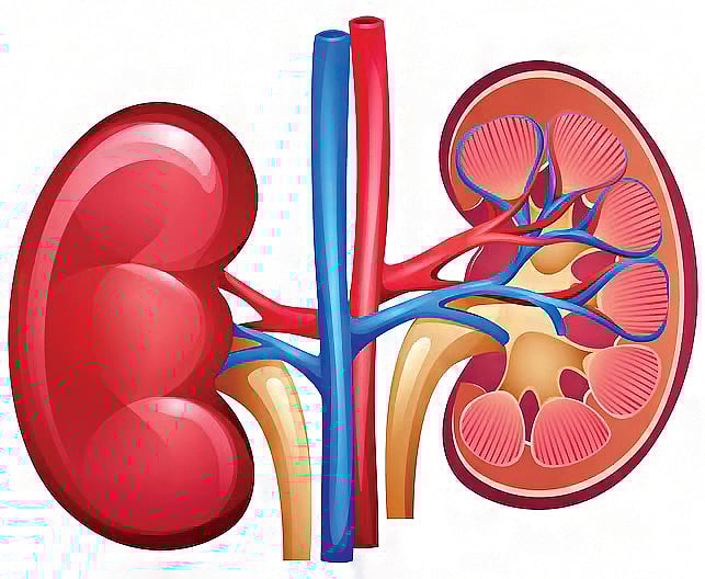 ஆயுள் காக்கும் ஆயுர்வேதம்: சிறுநீரில் மாவுப் பிரச்னை தீர வழி என்ன?