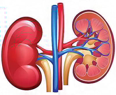 ஆயுள் காக்கும் ஆயுர்வேதம்: சிறுநீரில் மாவுப் பிரச்னை தீர வழி என்ன?