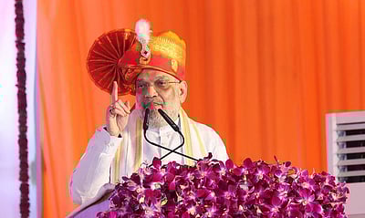 விவசாயிகள் சுதேசி பொருள்களைப் பயன்படுத்த வேண்டும்: அமித் ஷா