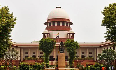 தெருநாய்கள் விவகாரம்: தமிழகம் உள்பட அனைத்து தலைமைச் செயலர்களும் ஆஜராக உத்தரவு!