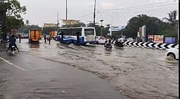 ஆறுமுகனேரி, காயல்பட்டினம்
பகுதிகளில் பலத்த மழை:
அறுவடை, உப்பள பணிகள் பாதிப்பு