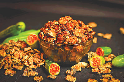 கோவைக்காய் வற்றல்