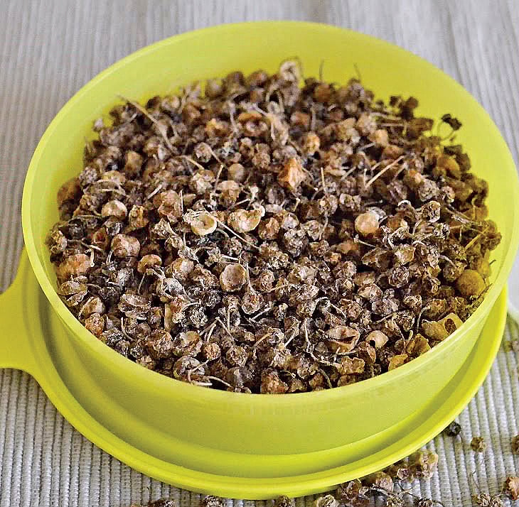 மணத்தக்காளி வத்தல்