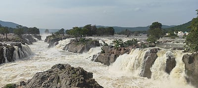 காவிரி ஆற்றில் வெள்ளப்பெருக்கு: அருவிகளில் குளிக்க, பரிசல் இயக்கத் தடை