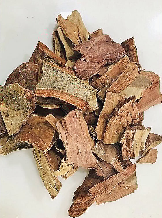 ஆயுள் காக்கும் ஆயுர்வேதம்: மருதம் பட்டையின் மகத்துவம் என்ன?