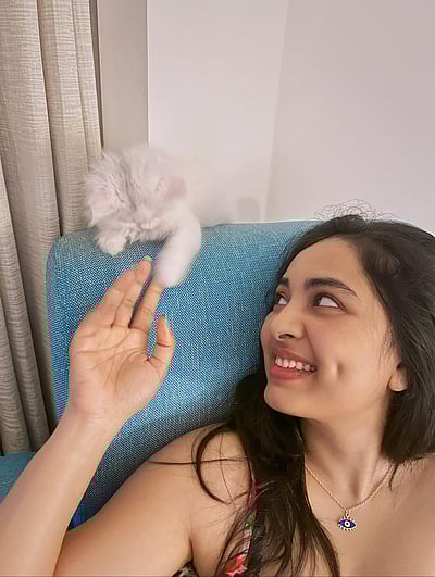 ஒரு பொம்மையைப் போல... ஷ்ருஷ்டி டாங்கே!