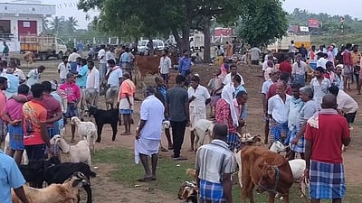 கல்பகனூரில் களை கட்டிய ஆட்டுச் சந்தை!