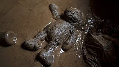 மெக்சிகோ: 2 புயல்களால் 130 பேர் பலி!