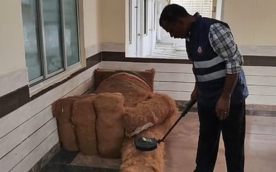 கோவை மாவட்ட ஆட்சியர்  அலுவலகத்துக்கு 5வது முறையாக வெடிகுண்டு மிரட்டல்!