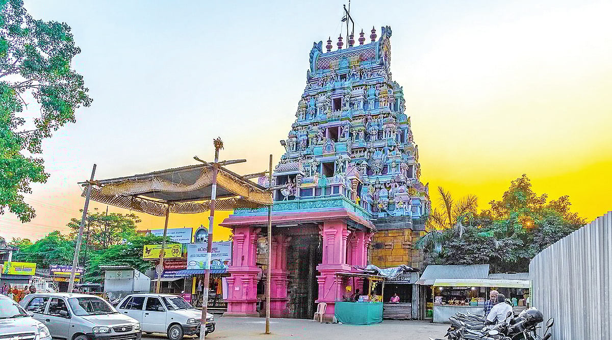 குளம்புச் சுவடும் கொம்புச் சுவடும்!