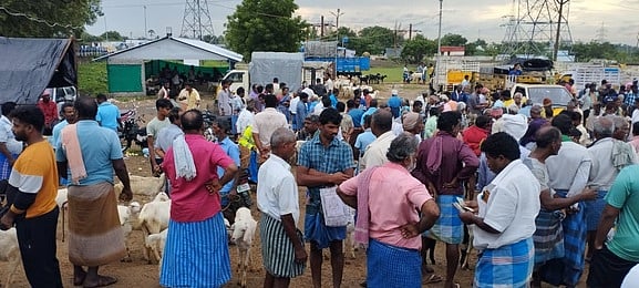 தீபாவளி: தெடாவூா் சந்தையில் ரூ.3 கோடிக்கு ஆடுகள் வா்த்தகம்