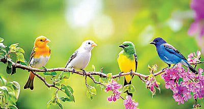 தெரியுமா?