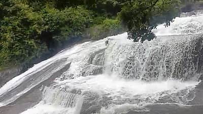 கோவை குற்றாலம் அருவியில் வெள்ளப்பெருக்கு! குளிக்கத் தடை!