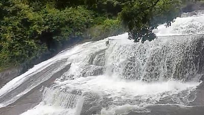 கோவை குற்றாலம் அருவியில் வெள்ளப்பெருக்கு! குளிக்கத் தடை!