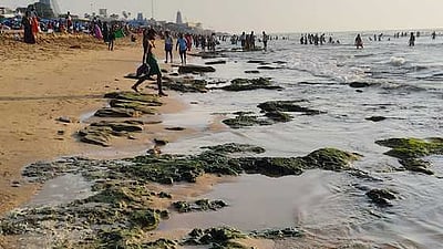 திருச்செந்தூரில் உள்வாங்கிய கடல் 