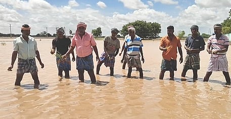 தேங்கிய மழைநீரால் நெல் பயிா்கள் சேதம்: விவசாயிகள் கவலை