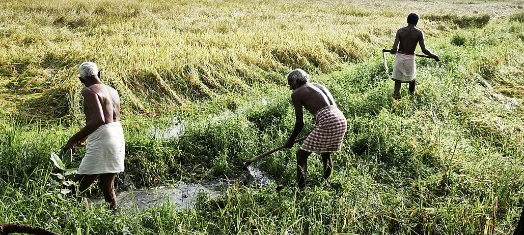 கேரள விவசாயிகளுடன் நேரடி கொள்முதல் ஒப்பந்தம்:
தமிழக நிறுவனங்களுக்கு அழைப்பு