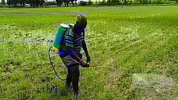 இடைக்கால நிதிநிலை அறிக்கை ஏமாற்றம் அளிக்கிறது