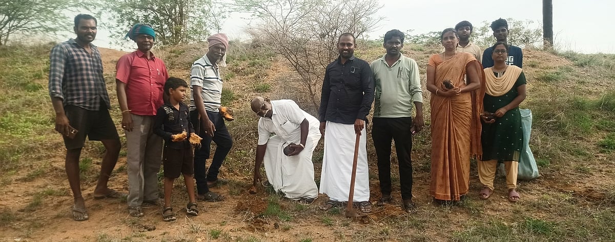 அமுதுண்ணாகுடி பகுதியில் 2,000 பனை விதைகள் விதைக்கும் பணி