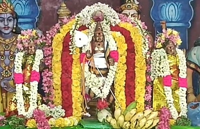 புற்றிடங்கொண்டீஸ்வரர் கோயிலில் சுப்பிரமணியசுவாமி திருக்கல்யாணம்!
