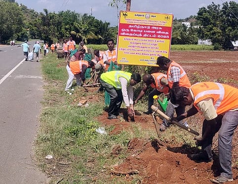 பவானி - அந்தியூா் நெடுஞ்சாலையில் பனை விதைகள் விதைப்பு