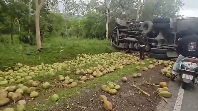 தேங்காய் பாரம் ஏற்றிவந்த லாரி கவிழ்ந்து விபத்து