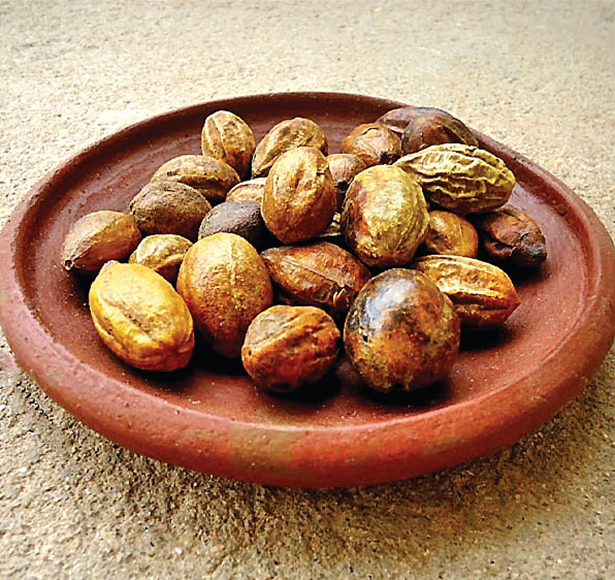 ஆயுள் காக்கும் ஆயுர்வேதம்: பலவித உடல் உபாதைகளை நீக்கும் வழி!