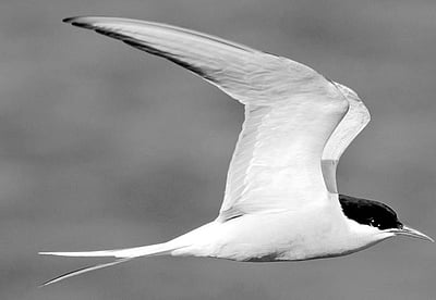 70 ஆயிரம் கி.மீ. பயணம்!