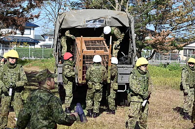ஜப்பானில் அதிகரிக்கும் கரடி தாக்குதல்! களமிறங்கிய படைகள்! 