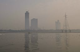 யமுனையில் அம்மோனியா அளவு குறைந்து வருகிறது: திகாரிகள் தகவல்