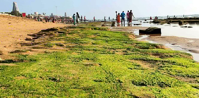 பௌா்ணமி: திருச்செந்தூரில் உள்வாங்கிய கடல்