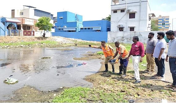 நெல்லை மாநகராட்சி பகுதிகளில்
 கொசுப்புழு உற்பத்தியைத் தடுக்க நடவடிக்கை