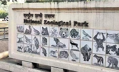 2 மாதங்களுக்குப் பிறகு தில்லி உயிரியல் பூங்கா மீண்டும் திறப்பு!