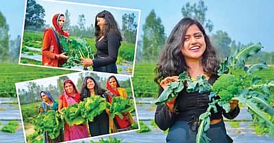 விவசாயத்தில் புதிய உத்தி!