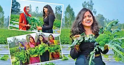 விவசாயத்தில் புதிய உத்தி!