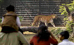 தில்லி உயிரியல் பூங்கா முறைகேடுகள் குறித்து சிபிஐ விசாரணை தேவை: வனவிலங்கு ஆா்வலா் கோரிக்கை