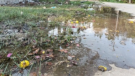 குழாய் உடைந்து வீணாகும் குடிநீா்
மக்கள் அவதி