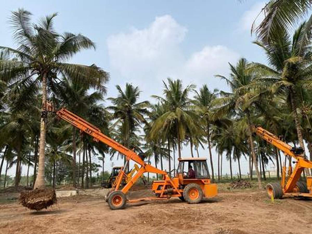 சமூக நோக்கில் பகட்டு வேண்டாம்!
