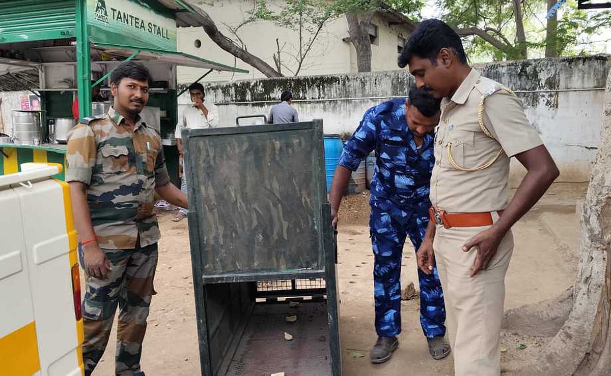 மாவட்ட ஆட்சியா் அலுவலகத்தில் சுற்றித்திரிந்த குரங்கால் பரபரப்பு