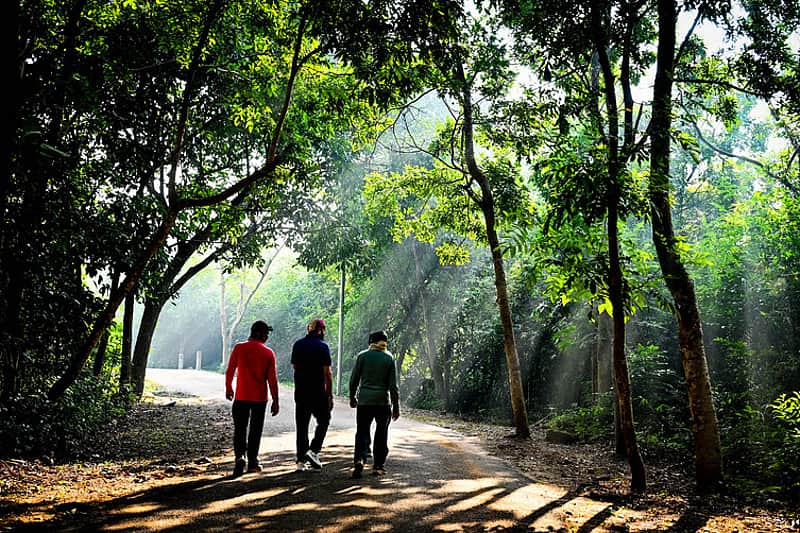 walking